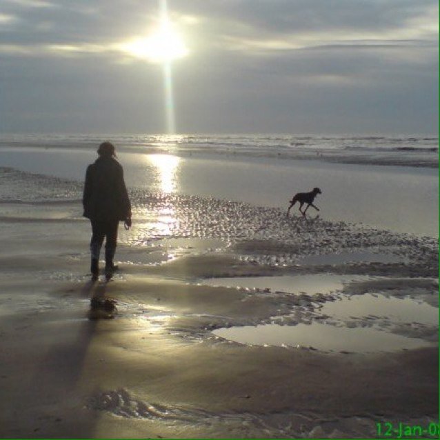 clairy86's profile picture. NFU Senior Veterinary Adviser. Opinions are own. 'Love all, trust a few, do wrong to none'