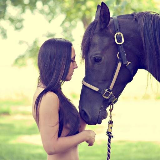- lovehorse♚ - tweets van max. 140 letters - foto's van paarden - retweet of favoriet -                  -volge me ت -