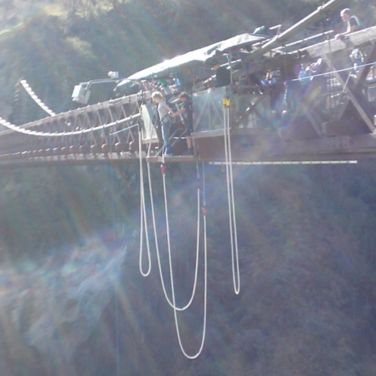 Mickey0109's profile picture. 