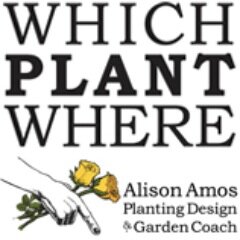 My aim is to bring the pleasure and reward of gardening to everyone.
It’s great for the soul and good for the planet.