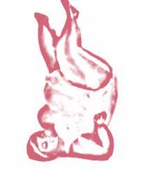 EveryBodyYoga's profile picture. feeling good in the body I have