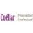 CuellarPI's profile image