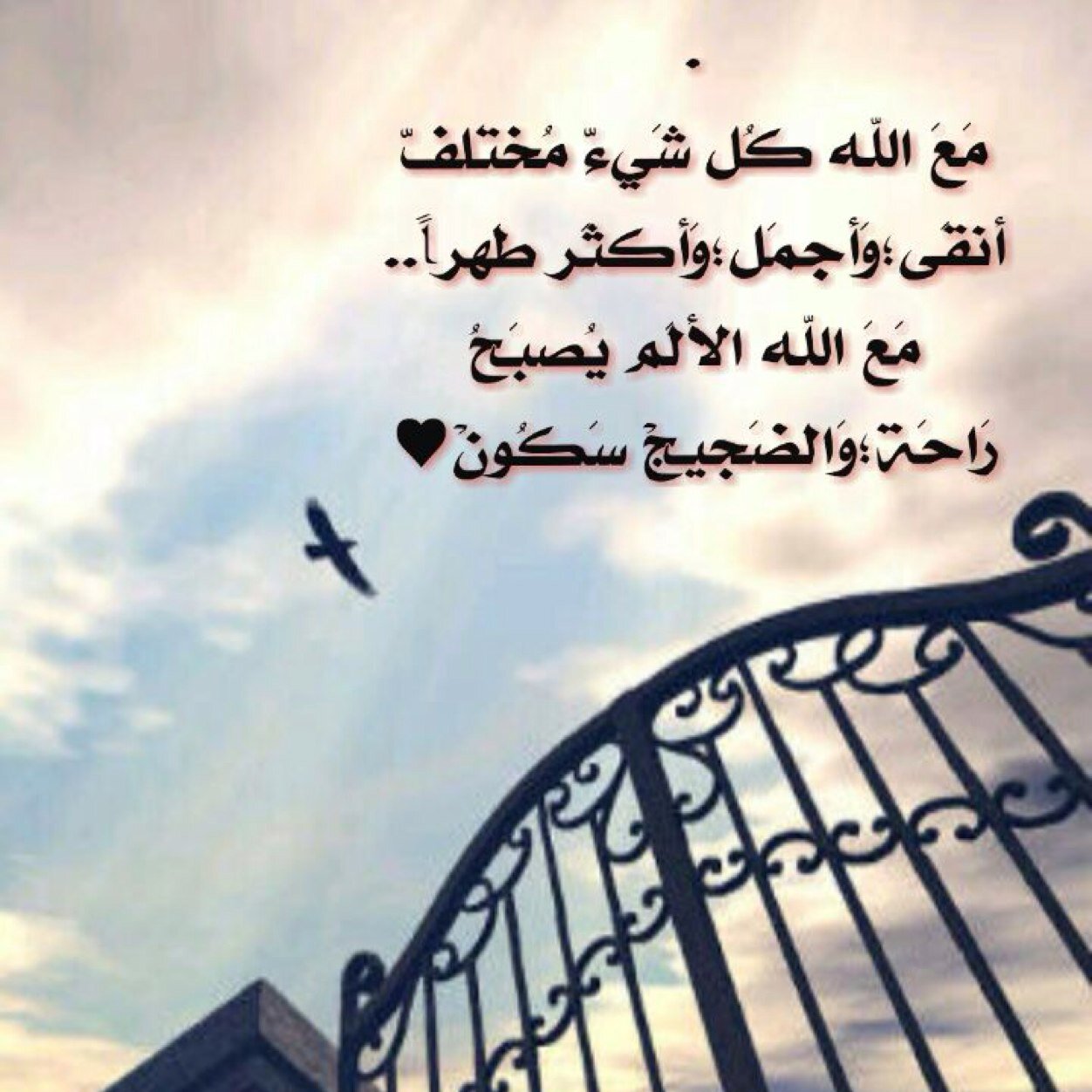 اللهم أني جعلت هاذا الحساب صدقة لأهلي وصديقاتي و أقاربي ف أجعله بميزان حسانتهم يارب ..أدعو الله أن يفاجئهم بحسنات تتضاعف وتتضاعف يوم القيامه ..