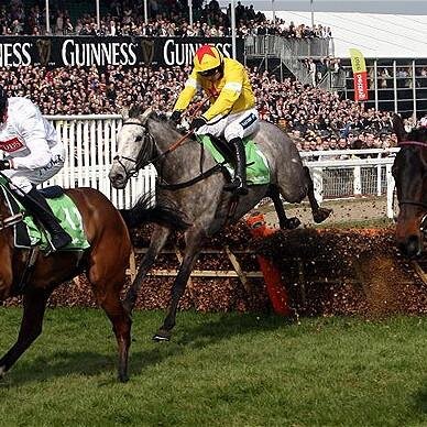 sportnewsbets's profile picture. 