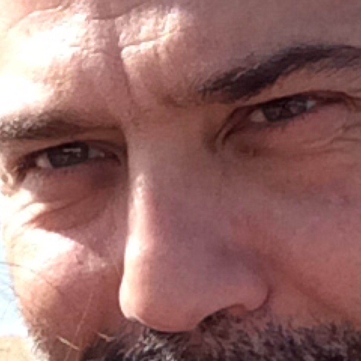 CHAOSelpides's profile picture. 