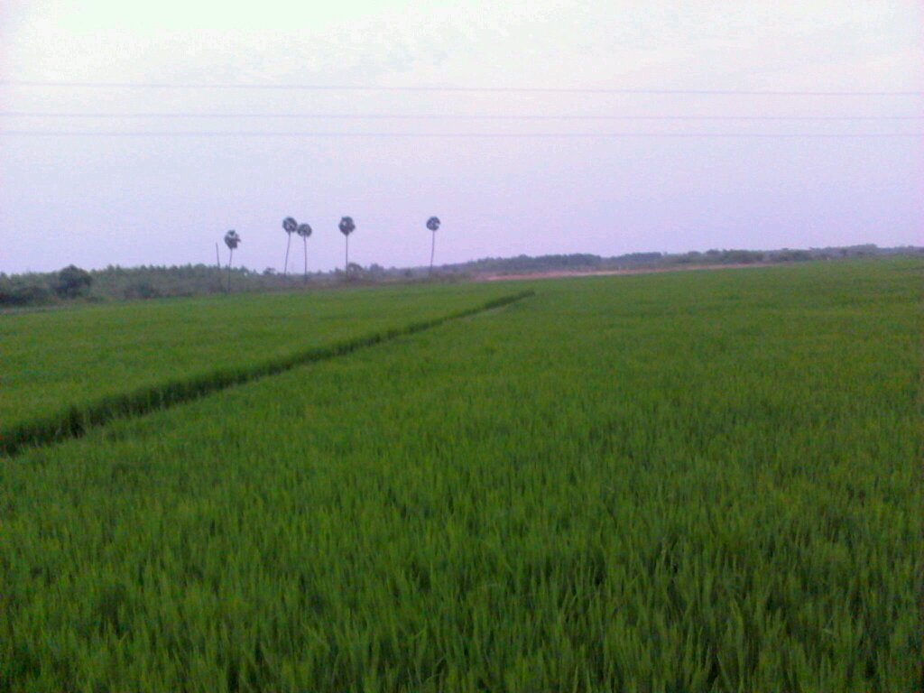 All is well