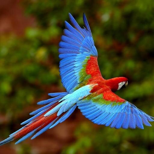 BaliRealty's profile picture. Come to Bali