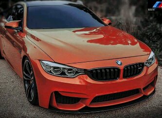 dewaseparsa's profile picture. @elvestbali.                                       @arterius_bali