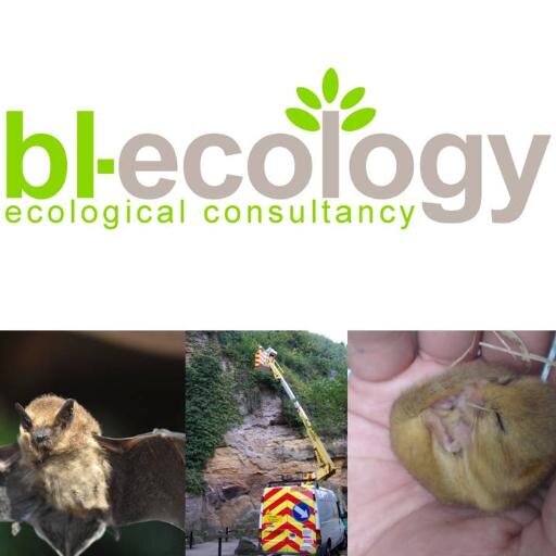 Eco Consultancy