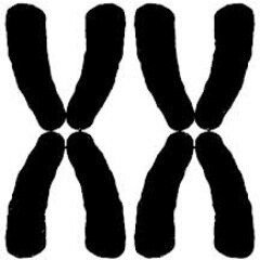 philofemme's profile picture. Philologisch. Philosophisch. Feministisch.