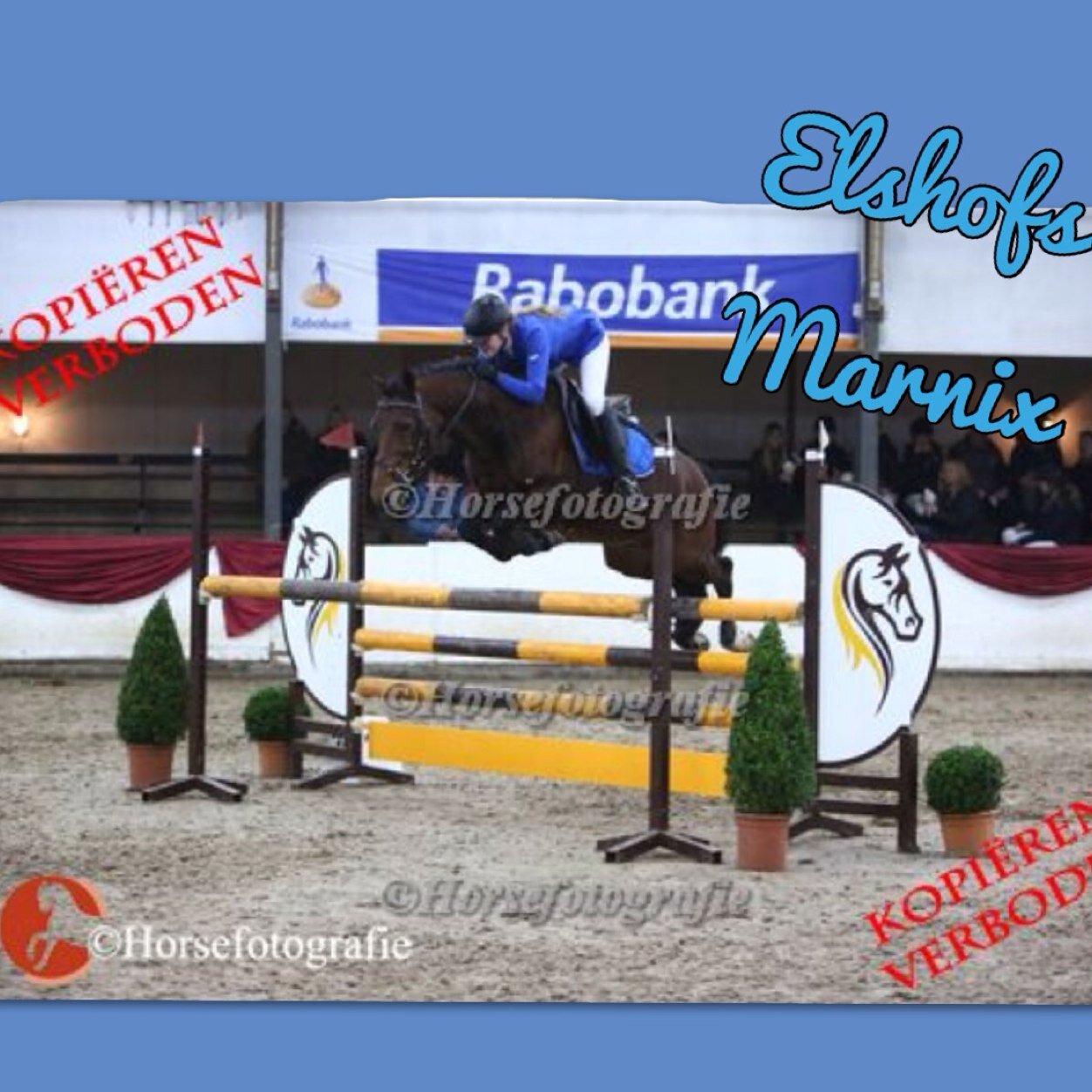 Horseriding❤️~Drachtster lyceum~ Family&friends❤~silvermoon& orchid's kenzo❤