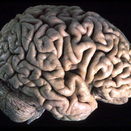 Credo ut intelligam, non intelligo ut credam