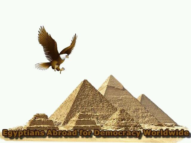 MKalifa_84's profile picture. 