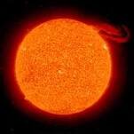 BB_Joris's profile picture. 