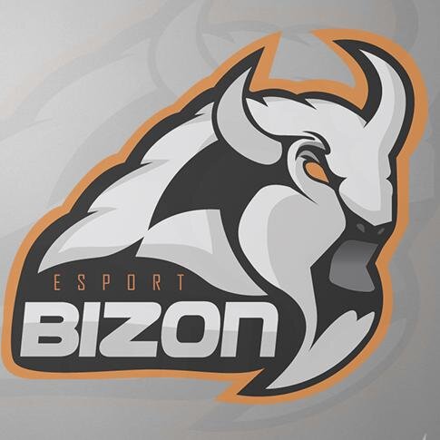 Roster Esniping West sous structure @Bizon_EU composé de @ILife_West  @Euziaaa @RuSh_FA  et V timpa