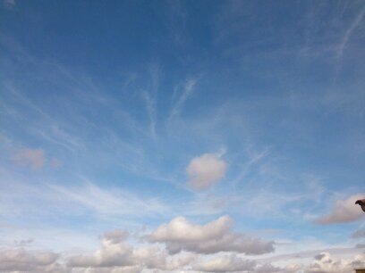 Wiixk1's profile picture. simple me