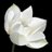 HERVY54963310's profile image
