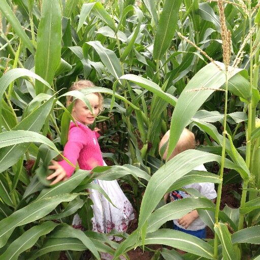 Sourcing the finest fresh produce in the South West.