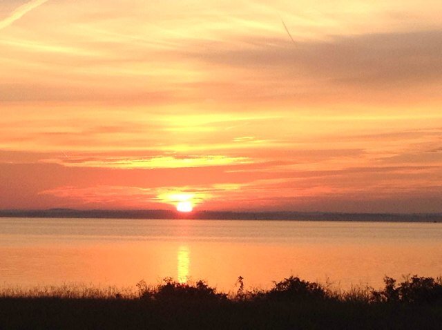 haleighcuevas's profile picture. 