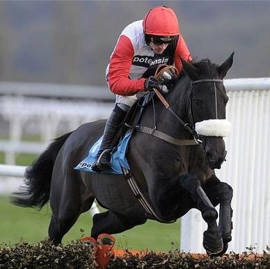 We promote the best betting offers around!!