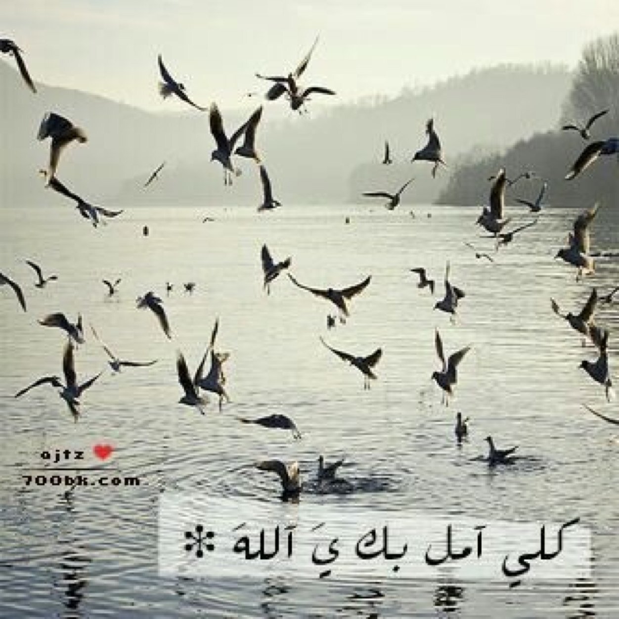 سر السعادة: خمس صلوات في وقتها♥