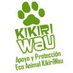 Kikiri Wau (@kikiriwau) Twitter profile photo