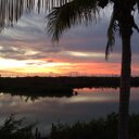 Stephanie Bear - @bear_stephanie - Twitter