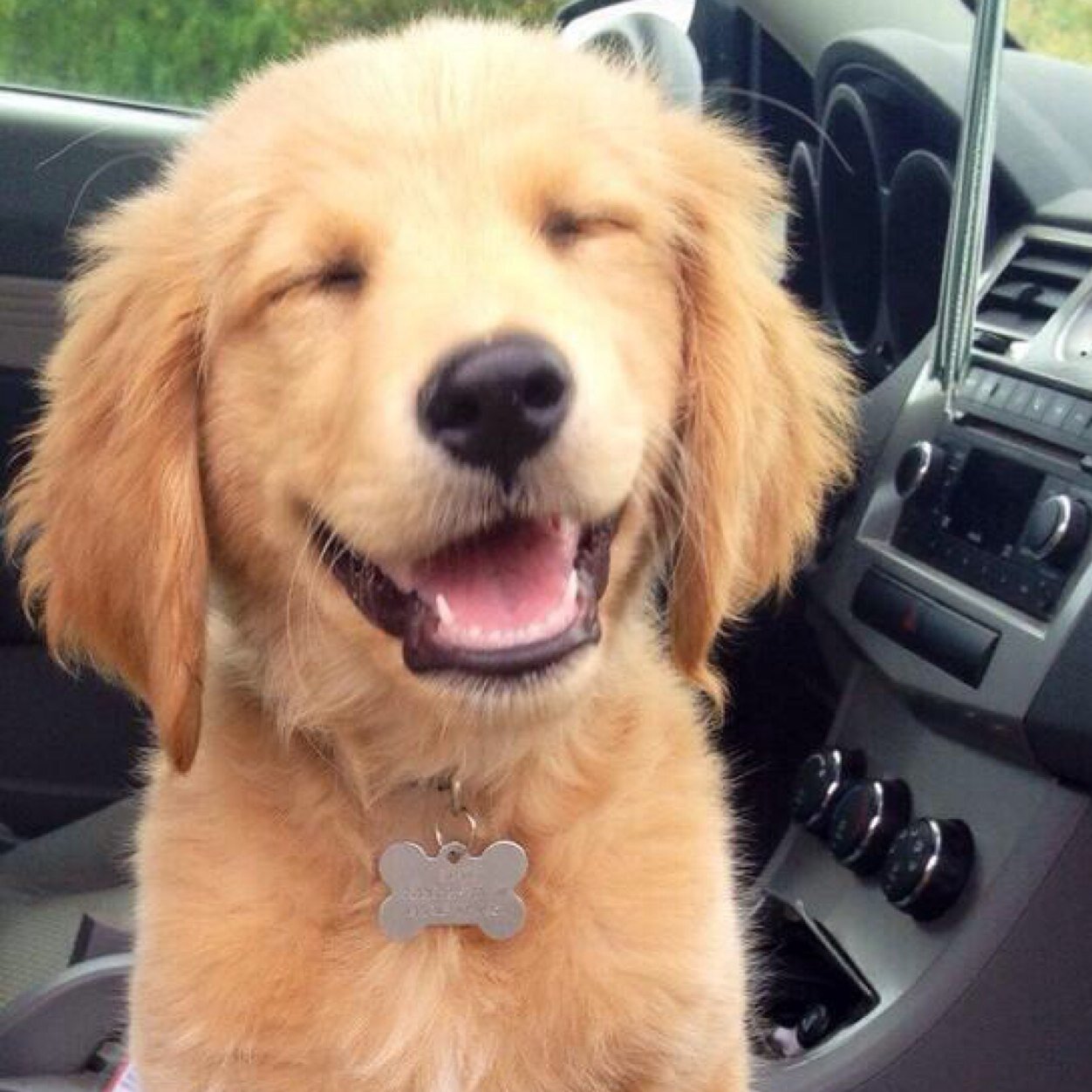 FangDom's profile picture. Im Dom.I struggle with depression,paranoia & anxiety. Im trying to get my life back on track again. 1/3 of me is dead.Rest In Peace, Tye... I miss you....