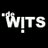DeWitsRijswijk's profile image