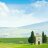 ArtourToscana's profile image