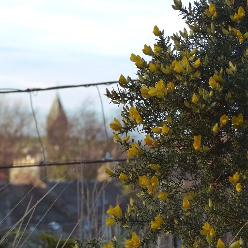 Dunpender Community Council is a body of local volunteers which works with East Lothian Council (ELC) to promote and support the interests of the area