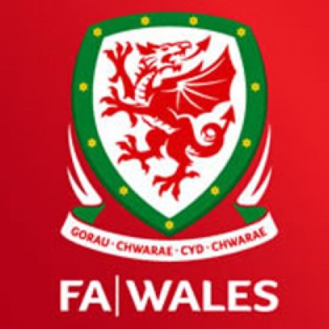 Wales Football Fans