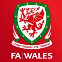 Wales Football Fans(@FAWalesfanss) 's Twitter Profileg