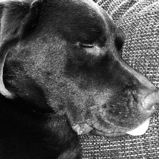 BBSS_Ollie's profile picture. 