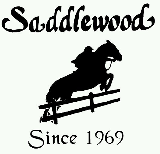 SaddlewoodCamp's profile picture. A unique horse camp for girls.