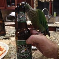Steve S (@steves3565) 's Twitter Profile