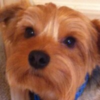 FBC Jax Watchdog (@fbcjaxwatchdog) 's Twitter Profile