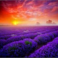 essentiallyjody (@essentiallyjody) 's Twitter Profile