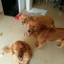 Melody Blackwell - @nursemel355 - Twitter