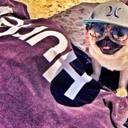 CeciPrandoni's profile picture. Measure your life in love!