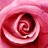 prolifepioneers's profile image
