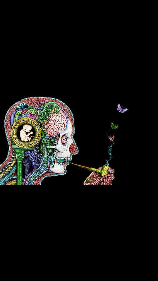 _OpenedEyes's profile picture. 