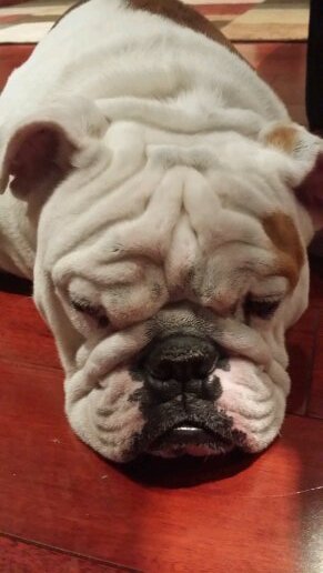 YungJeevy's profile picture. 