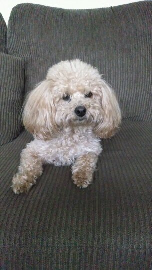 stalter612's profile picture. 