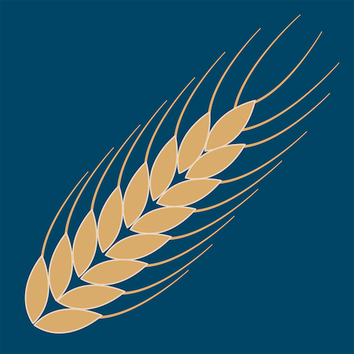 Infos et décryptages marchés (Finance, Agri, Energie). Outils d'aide à la décision (modèles prédictifs) sur matières premières Agri. Top performance depuis 2018