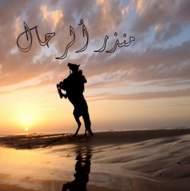 فلسفتي