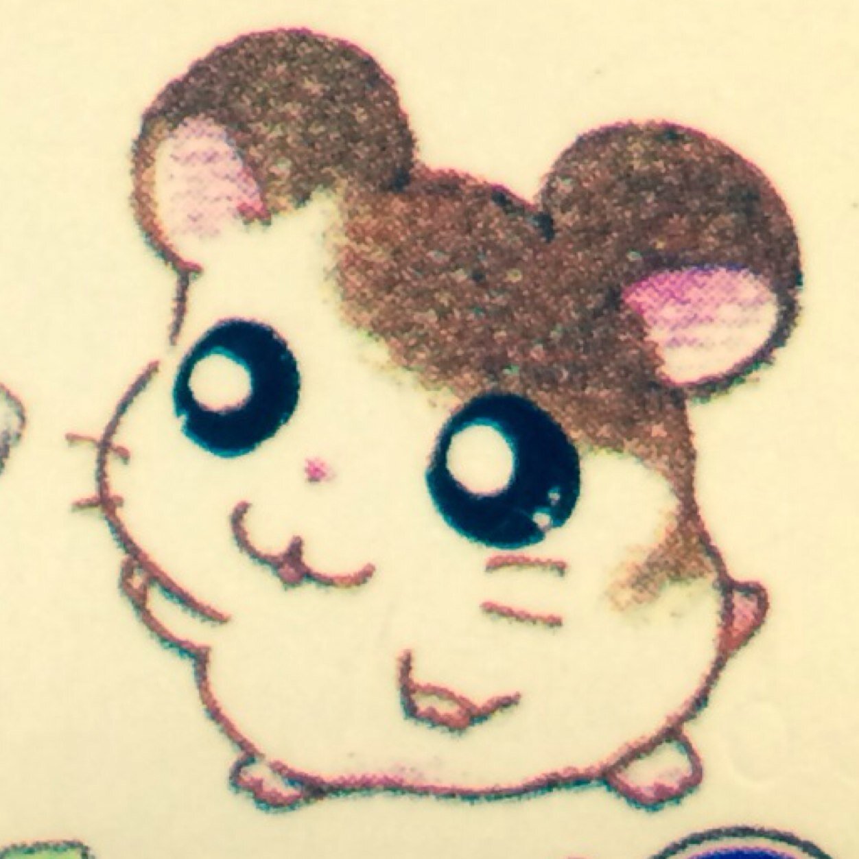 じゅたんさんのプロフィール画像