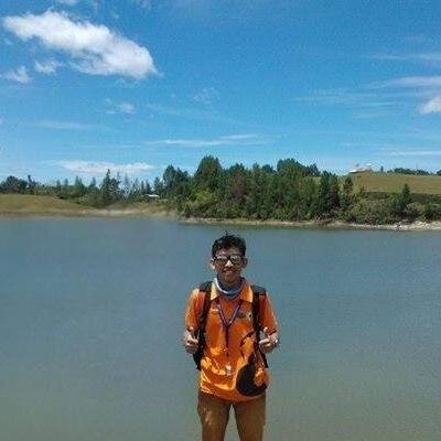 Geologist