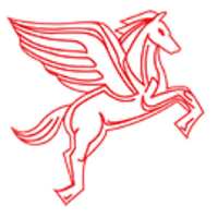 Pegasus (@pegasusimages) 's Twitter Profile