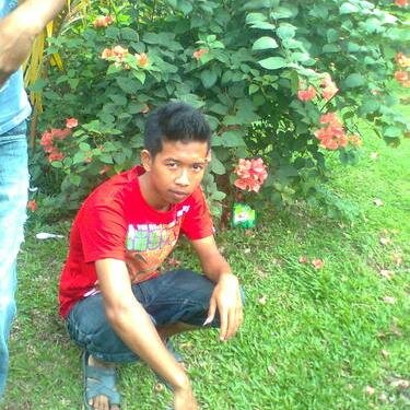 Hidup itu indah, Indah itu hidup